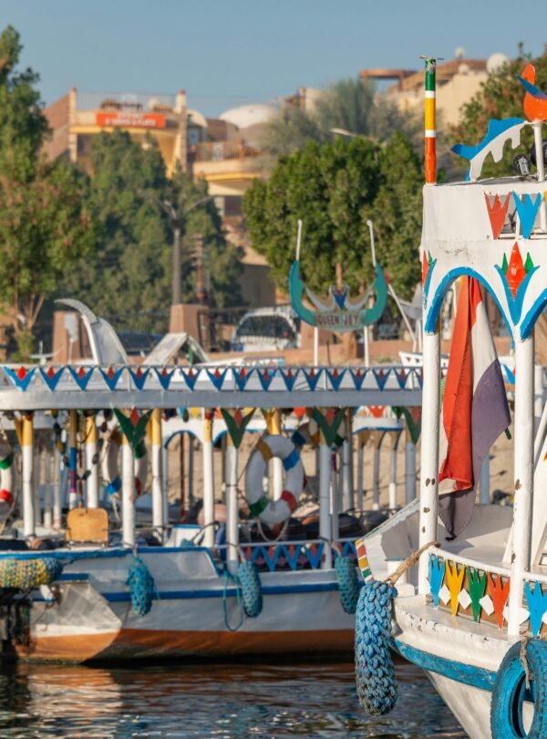 pexels-diego-f-parra-33199-15131538