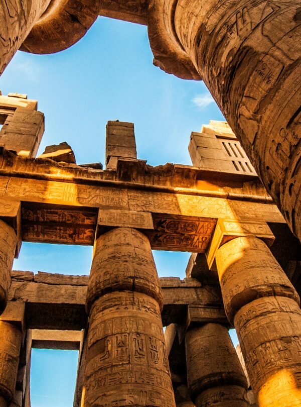 pexels-frans-van-heerden-201846-631339